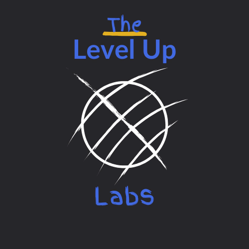 What is The Level Up Labs?